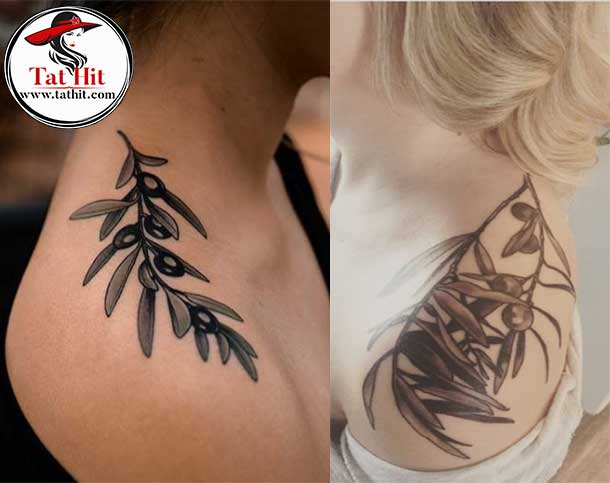 Olive Branches Tattoo On Shoulder