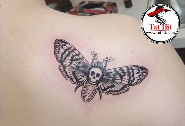death moth tattoo ideas