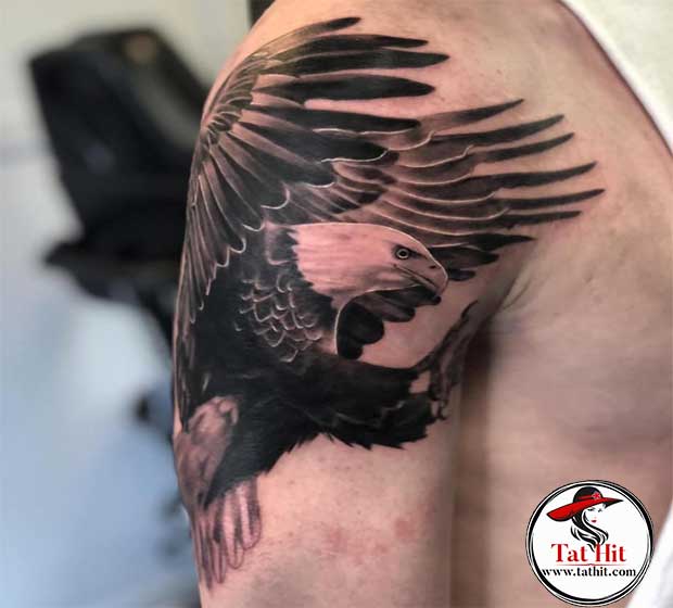 feather eagle tattoo designs