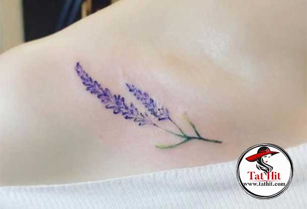 lavender flower tattoo on beauty bone for women
