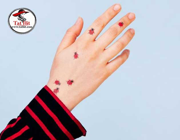 Tiny Ladybug Tattoo design on Hand