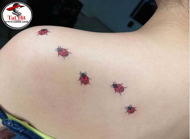 Traditional ladybug tattoos