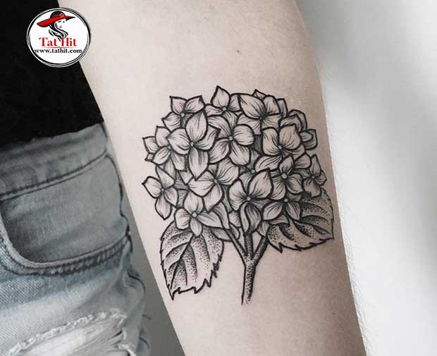 Traditional hydrangea flower tattoo