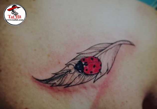 ladybug on a feather tattoo