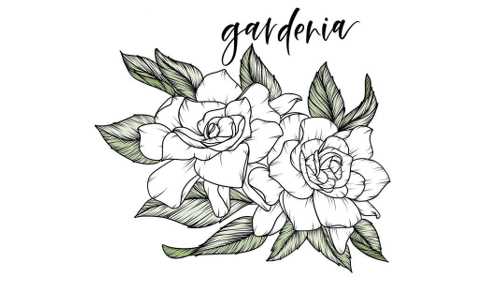 Gardenia Flower Tattoos