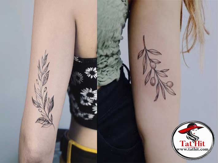 30 Best Olive Branch Tattoo Design Ideas 2021 Updated  Tattooed Martha