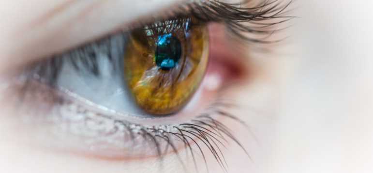 An Insight into Eye Development and Health