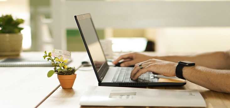 How do you write an essay that looks like it's worth a million dollars