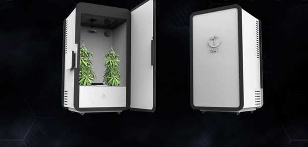 Grow Your weed with automated stealth grow box
