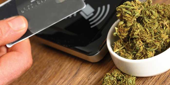 The essential steps in Compliance for Marijuana Dispensaries