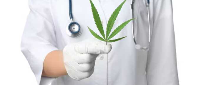 Why Medical Cannabis Doctors Recommend Cannabis Products for Chronic Conditions