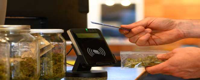 Best Marijuana Dispensaries for Beginners