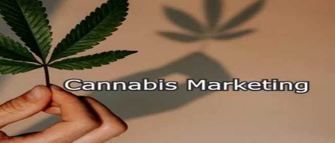 5 Reasons to Market your Cannabis Business