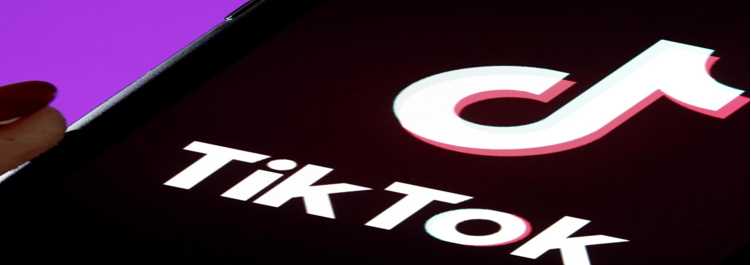 Funniest compilation videos on TikFuel are definitely worth a laugh