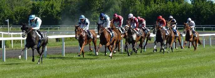 WAYS TO AVOID BEING SCAMMED BY ONLINE HORSE BETTING SITES