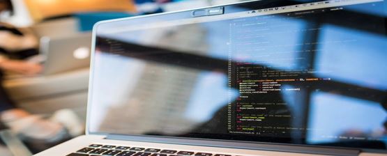 Which Courses Is Best for IT Jobs