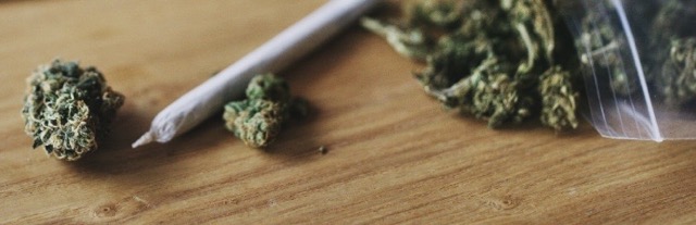 4 Ways Weeds Affects The Body