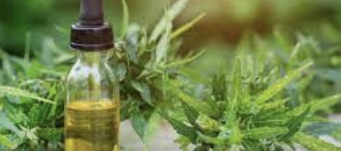 5 Methods to Take CBD Oil