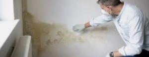 How To Prevent Mold Outbreak After Your Home Floods?