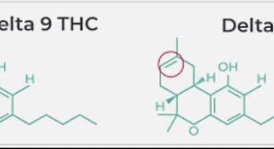 How is Delta 8 THC Different from Delta 9 THC?