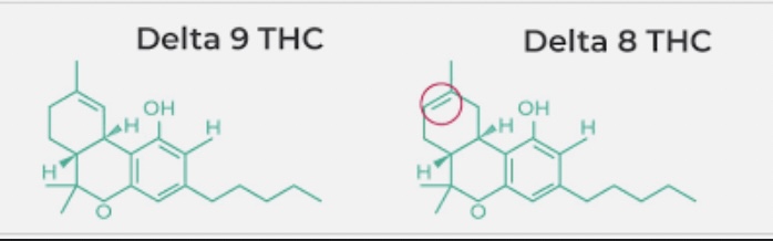 How is Delta 8 THC Different from Delta 9 THC?