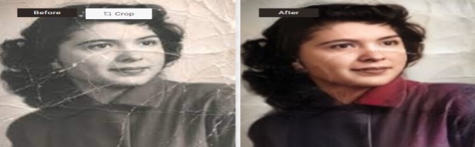 VanceAI Creativity Series Review