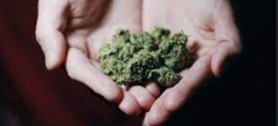 All You Need to Know About Hemp Cherry Wine as a CBD Enthusiast