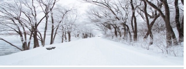 Productive Winter Activities at Home That You Should Try!