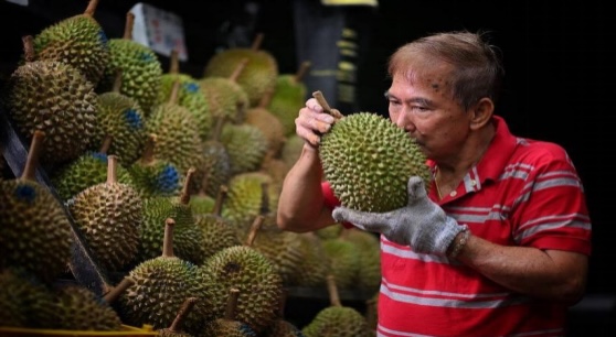 The Best Durian Delivery Service