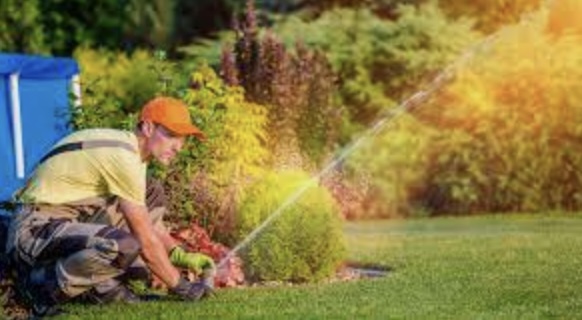 How to promote your landscaping business via email