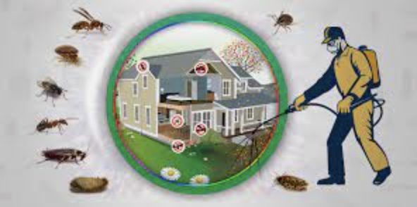 Pest Control Services