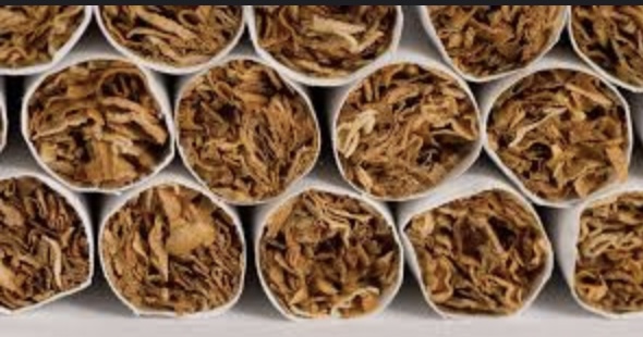 The Evolution of the Tobacco Industry