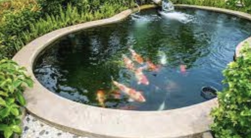 A Guide to Water Feature Pet Memorials