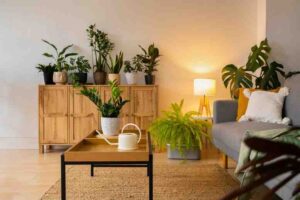 Creating a Luxurious, Green Home