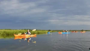 Explore Nature the Easy Way with Kayak Charleston Adventures